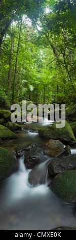 Regenwald-Stream in der Mossman Gorge im Daintree Nationalpark. Mossman, Queensland, Australien Stockfoto