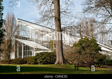 Queen Elizabeth gemäßigten House Savill Garden, Berkshire, England, Vereinigtes Königreich Stockfoto