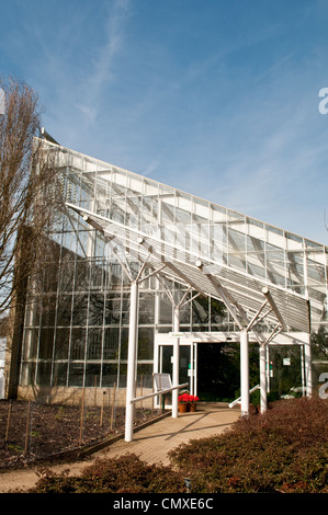 Queen Elizabeth gemäßigten House Savill Garden, Berkshire, England, Vereinigtes Königreich Stockfoto