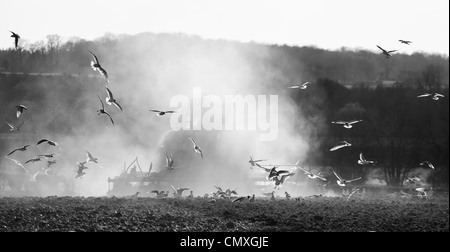 Landwirte, die Vorbereitung einer trockenen Bereich unter fast Dürrebedingungen für Frühling planting'North Norfolk "UK Stockfoto