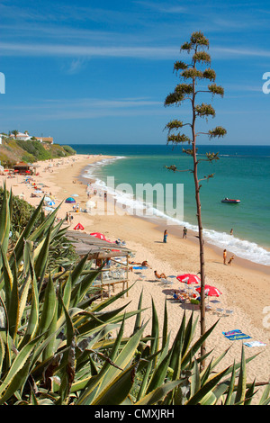 Meca Strand, Los Canos, Costa De La Luz Stockfoto