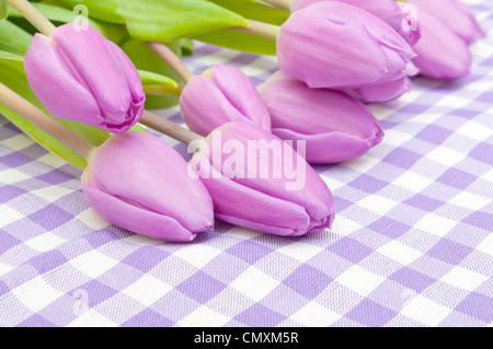 Nahaufnahme von frischen violette Tulpen auf violett karierte Tischdecke Stockfoto