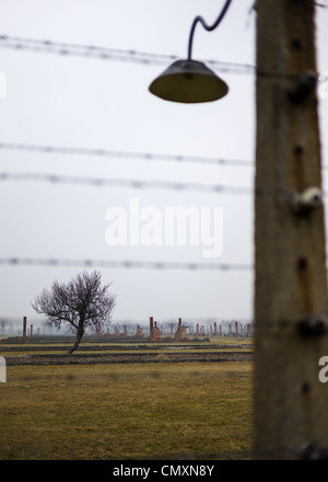 Ansicht des KZ Birkenau durch den elektrischen Zaun rund um Auschwitz II, Polen Stockfoto