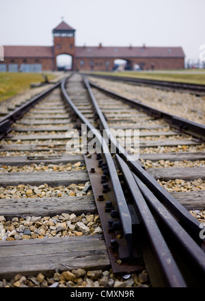 Die berühmt-berüchtigten Bahngleise führt in die Auschwitz II Birkenau KZ, Polen Stockfoto