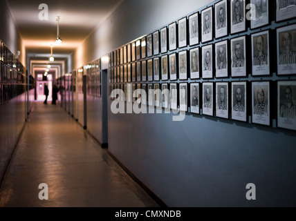 Eine Wand mit Fotos von Gefangenen, im KZ Auschwitz, Polen stirbt Stockfoto