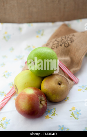 Äpfel mit einer hessischen Tasche in natürlichem Licht. Auswahl an Obst, einschließlich Cox, Braeburn, Granny Smith, Golden Delicious, Jazz. Stockfoto