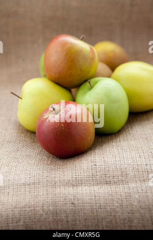 Äpfel am hessischen meschotschek in natürlichem Licht. Auswahl an Obst, einschließlich Cox, Braeburn, Granny Smith, Golden Delicious, Jazz. Stockfoto
