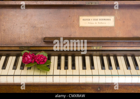 Kartause Valmossa, Chopin Museum, Klavier, Rosen, Mallorca Stockfoto