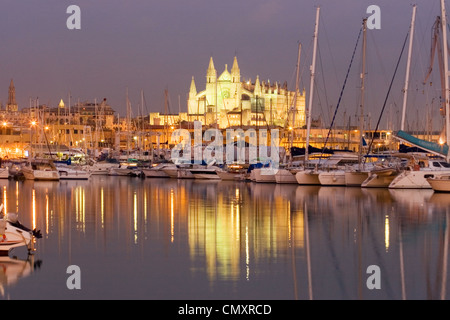 Spanien, Mallorca, kathedral Stockfoto