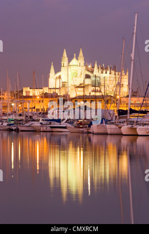 Spanien, Mallorca, kathedral Stockfoto