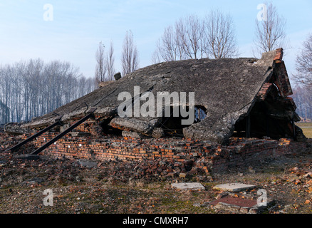 Die Ruinen des Auschwitz II Birkenau Gaskammer, Polen Stockfoto