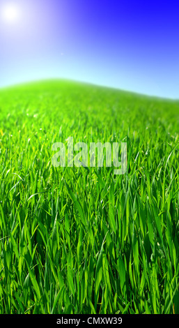 grüne Hügel, bedeckt mit Grass unter der Sonne Stockfoto
