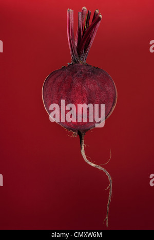 Rote Beete halbieren Sie hängen auf rotem Grund. Das Wurzelgemüse wird mit den restlichen Stiel und in einem Studio getrimmt. Stockfoto