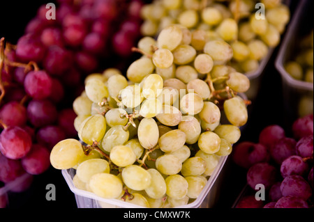 Green grapes dominant in a picture surrounded by red grapes on the sides. Stockfoto