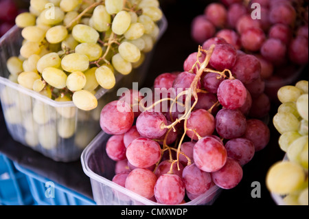 Closeup image of unwashed red and green grapes. Stockfoto