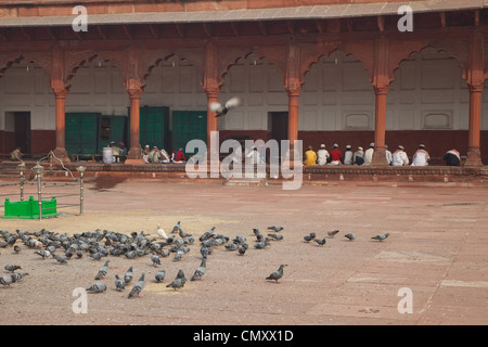 Agra, Indien. Jungen den Koran in der Madrasa der Jama Masjid (Freitagsmoschee) zu studieren. Stockfoto