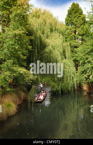 Christchurch New Zealand Stechkahn fahren am Fluss Avon. Stockfoto