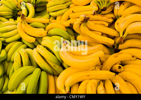Trauben von gelben Bananen Stockfoto