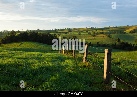 Zaun auf hügeligem Ackerland auf der Atherton Tablelands. Millaa Millaa, Queensland, Australien Stockfoto