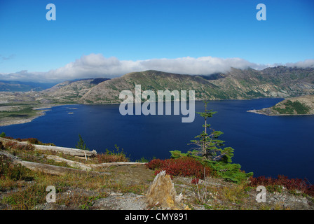 Intensives Rot, grün und blau, Spirit Lake, Washington Stockfoto