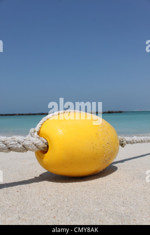 Gelb.  Jumeirah Open Beach, Dubai, Vereinigte Arabische Emirate Stockfoto