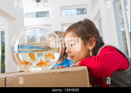 Deutschland, Bayern, Grobenzell, Kinder betrachten Goldfische in Schüssel Stockfoto