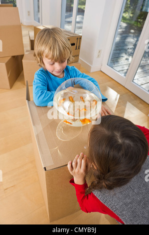 Deutschland, Bayern, Grobenzell, Kinder betrachten Goldfische in Schüssel Stockfoto