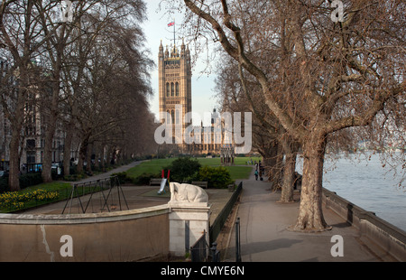 Houses of Parliament, Victoria Tower über das House Of Lords aus Victoria Gardens, Westminster, London, England. März 2012 Stockfoto