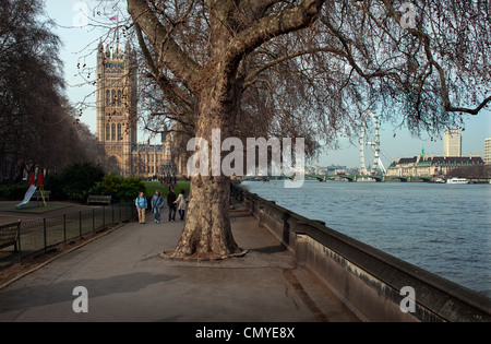 Houses of Parliament, Victoria Tower über das House Of Lords aus Victoria Gardens, Westminster, London, England. März 2012 Stockfoto