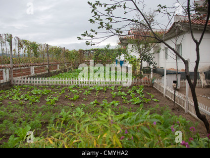 Alltag in Hamhung, Nordkorea Stockfoto