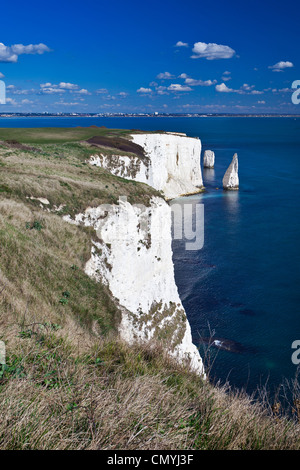 Old Harry rocks in der Nähe von Studland in Dorset. Weissen Sie Meer-Stacks an Handfast Punkt auf der Isle of Purbeck in Dorset, England. Stockfoto