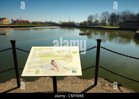 Ost-Indien-Dock-Becken. Stockfoto