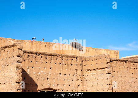 Weiße Störche nisten auf die Altstadt von Marrakesch, Marokko Stockfoto