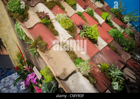 Eine Simulation eines Daches in Rio De Janeiro in Brasilien, gefüllt mit Bromelien, in der jährlichen Macys Flower Show in New York Stockfoto