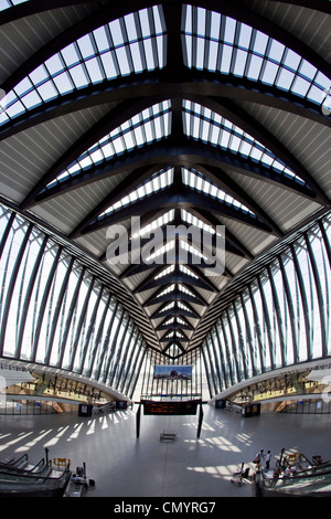 TGV-Bahnhof am Flughafen Lyon durch Architekt Santiago Calatrava, Lyon, Rhone Alpes, Frankreich Stockfoto