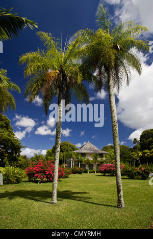 Sir Seewoosagur Ramgoolam königliche Botanische Garten von Pamplemousses, Mauritius, Afrika Stockfoto