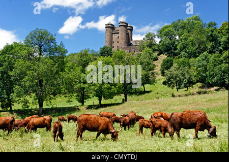 Frankreich, Cantal, Parc Naturel Regional des Vulkane d ' Auvergne (natürlichen regionalen Park der Auvergne Vulkane), Tournemire, beschriftet Stockfoto