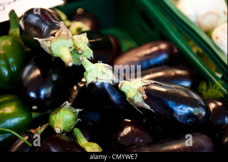 Auberginen Neben grünem Paprika in einem grünen Wald-Korb. Stockfoto