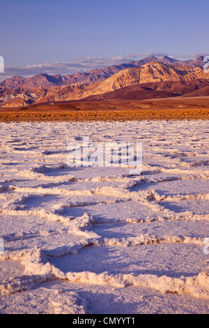 Salz Polygone in der Nähe von Badwater Basin, Death Valley, Kalifornien USA Stockfoto