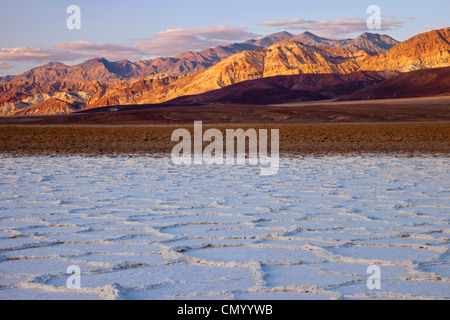 Salz Polygone in der Nähe von Badwater Basin, Death Valley, Kalifornien USA Stockfoto