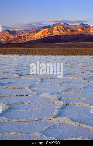 Salz Polygone in der Nähe von Badwater Basin, Death Valley, Kalifornien USA Stockfoto