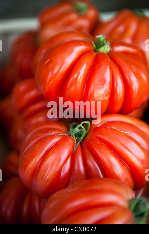 Eine vertikale Aufnahme von einem Haufen roter Kürbis Paprika. Stockfoto