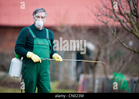 Verwendung von Chemikalien im Garten/Obstgarten: Gärtner ein Insektizid anwenden / a Dünger, um seine Früchte Sträucher, mit einer Sprayer Stockfoto