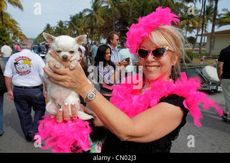 Miami Beach, Florida, Ocean Drive, historisches Art déco-Viertel, Art-Deco-Wochenende, Festival, weibliche Frauen, Spielzeug Chihuahua, Hund, Haustier, rosa Federn, Kostüm, FL Stockfoto