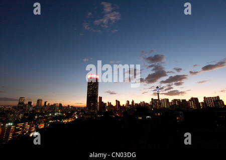 Eine Landschaft von Johannesburg CBD und Hillbrow in der Abenddämmerung. Stockfoto