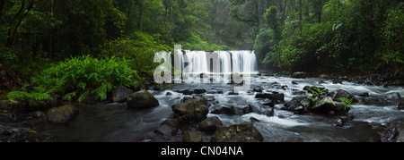 Nandroya fällt im Wooroonooran National Park.  Atherton Tablelands, Innisfail, Queensland, Australien Stockfoto