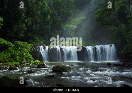 Nandroya fällt im Wooroonooran National Park.  Atherton Tablelands, Innisfail, Queensland, Australien Stockfoto