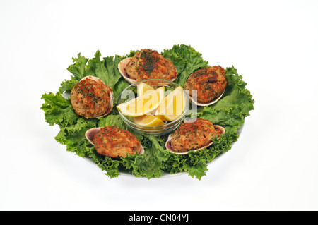 Teller mit gefüllten Muscheln auf Salatbett mit Zitronenspalten Stockfoto