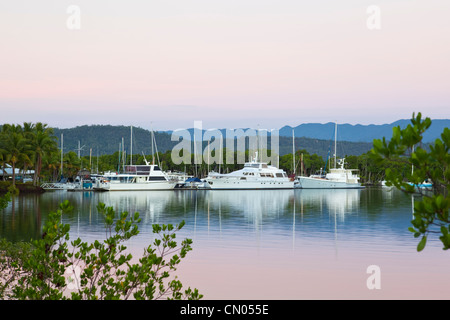 Port Douglas Marina am Dickson Inlet. Port Douglas, Queensland, Australien Stockfoto