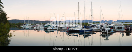 Port Douglas Marina am Dickson Inlet. Port Douglas, Queensland, Australien Stockfoto